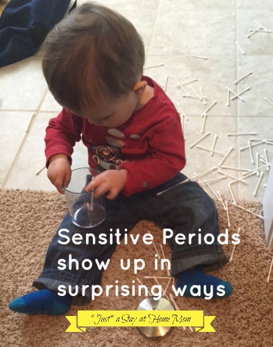 Sensitive Periods – The Cue Tips