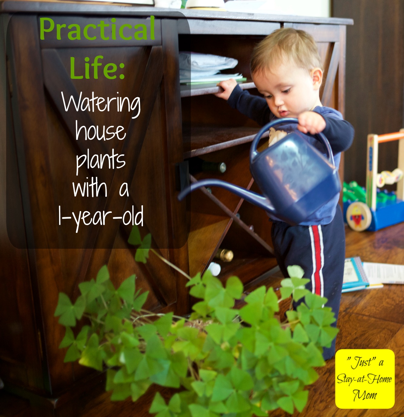 Practical life: 1-year-old watering
